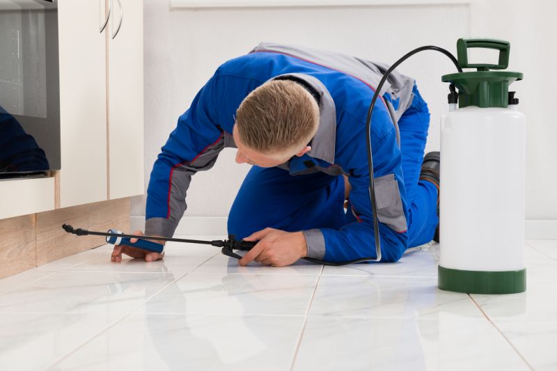 Bug Extermination Service in Arlington, TX