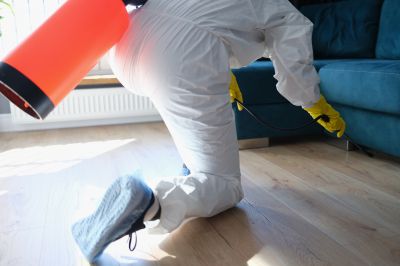 Commercial Fumigation in Woodbridge, VA