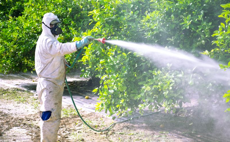 Fumigation Service in Toledo, OH