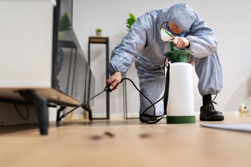 Roach Fumigation in Toledo, OH