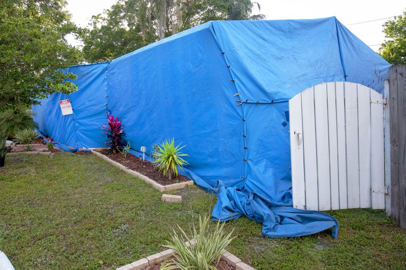 Termite Tenting in Bellingham, WA