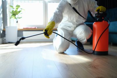 Commercial Pest Control in Frisco, TX