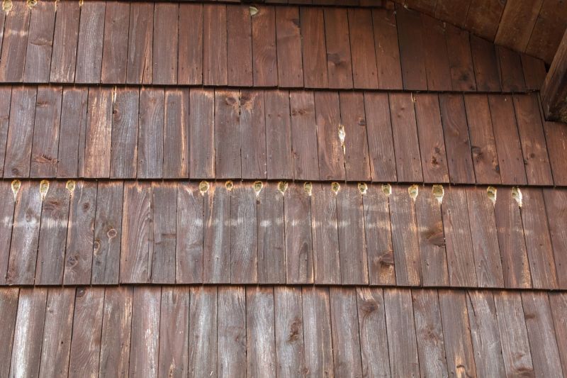 Woodpecker Removal Cost — Cost of Woodpecker Removal