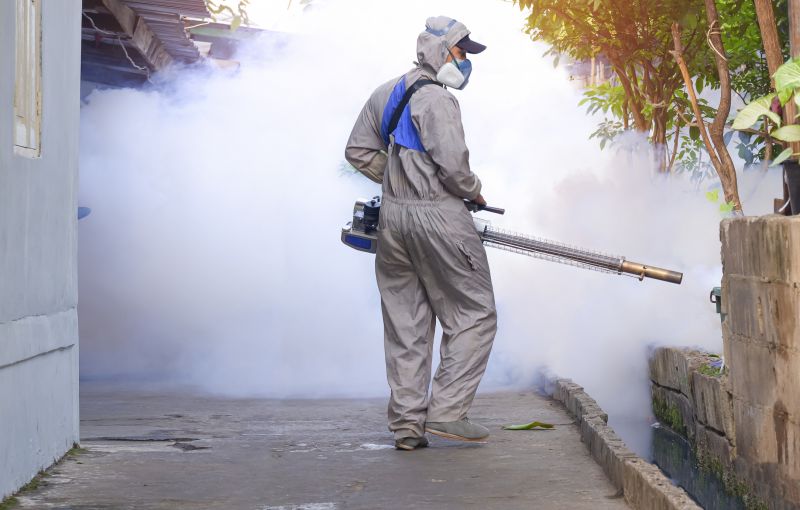 Mosquito Control Service in Denton, TX