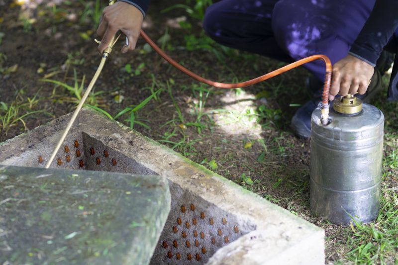 Pest Fumigation Service in Naperville, IL