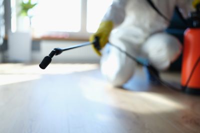 Pest Fumigation Service in San Antonio, TX