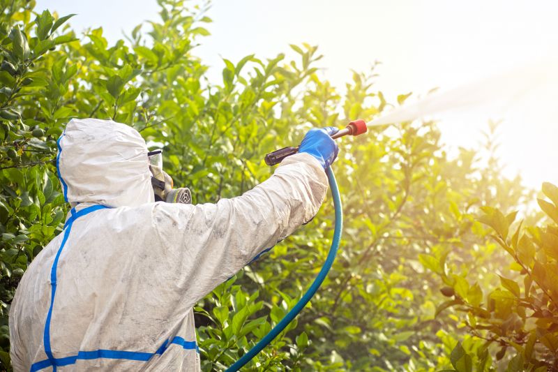 Spider Fumigation Service in Davis County, UT