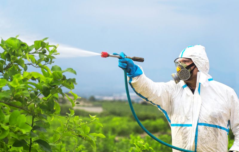 Spider Fumigation Service in Woodbridge, VA