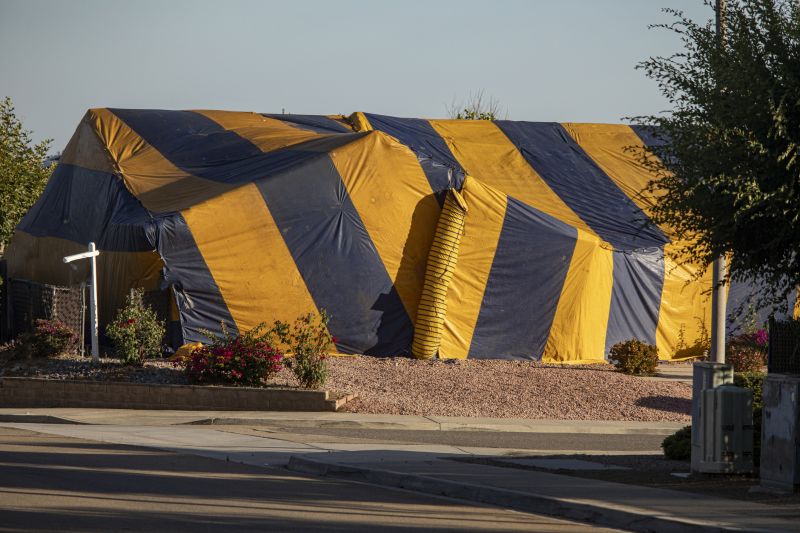 Termite Tenting in Naperville, IL