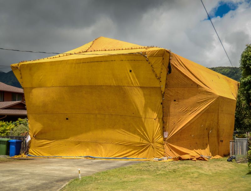 Termite Tenting in Naperville, IL